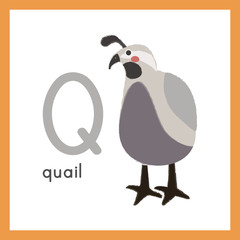 Illustration drawing style set of wildlife