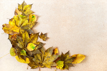 Naklejka na ściany i meble Autumn leaves ornate