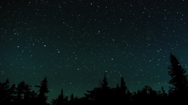 Stars in the night sky against the backdrop of silhouettes of trees
