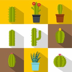 Types of cactus icon set, flat style