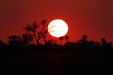 African sunset