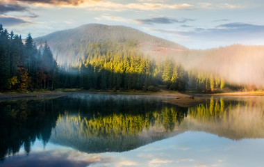Fototapeta na wymiar gorgeous foggy sunrise on the lake in forest. lovely autumnal landscape in mountains