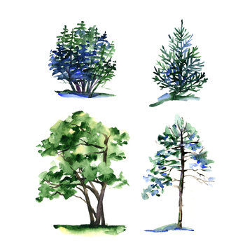 Set of different types watercolor trees.