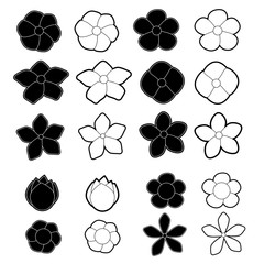 Fototapeta premium White and black flowers on a white background