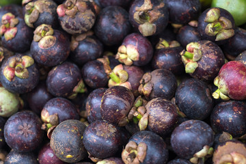 Mangosteen. A pile of mangosteen selling in a market, mangosteen background.