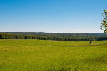 German Landscape in the Harz mountains