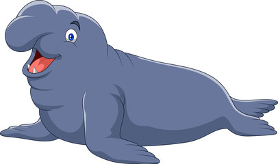 Cartoon elephant seal isolated on white background