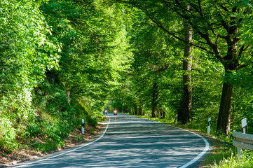 Road in the Bode Valley in Germany