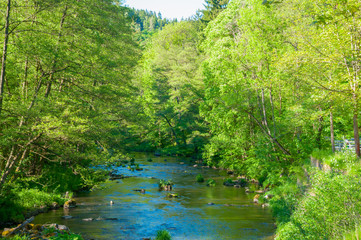 Bode river in the Harz Mountains in Germany