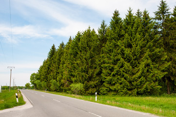Fototapeta premium Road in Harz in Germany