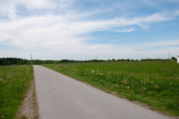 Road in Harz in Germany