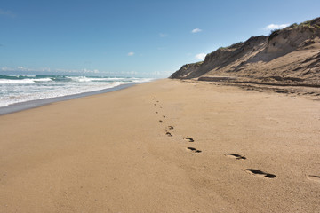 Footsteps in the sand along remote australian beach with large sand dunes