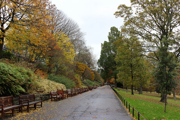 Fototapeta na wymiar Idyllic view of pathway in Princes Street Garden with autumn leaves in Edinburgh Scotland.