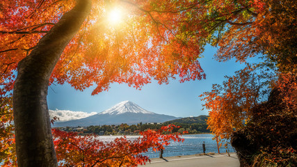 Mount Fuji in Autumn Color, Japan