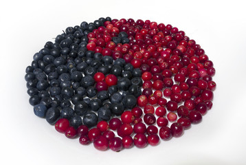 berry yin yang from the Carpathians