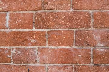 Obraz premium Texture of brick. Background of brick wall texture