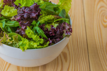 Salad leaves, purple lettuce, spinach, arugula. Mixed fresh salad in a white bowl