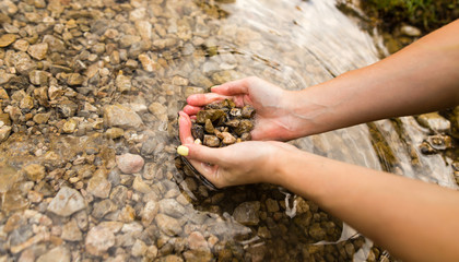 Small stones in the hand on the pond
