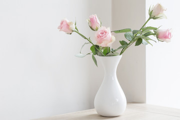pink roses in vase on white background