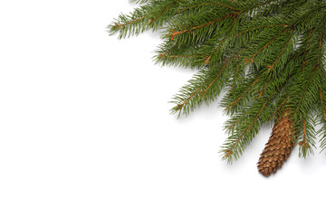 Christmas background. Top view with copy space. fir tree with cone isolated on white background
