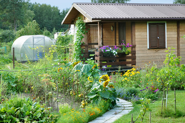 Residential private wooden country house and blooming garden in the foreground.