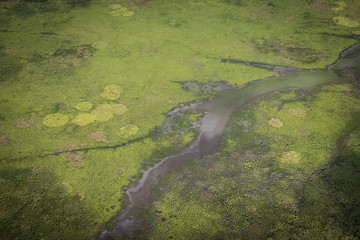 Adelaide River, wet season
