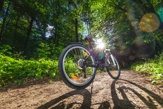 Mountain biking down hill descending fast on bicycle. View from bikers eyes.