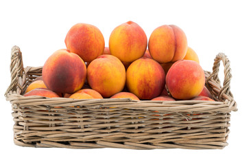 Basket full of fresh peaches isolated on white background.