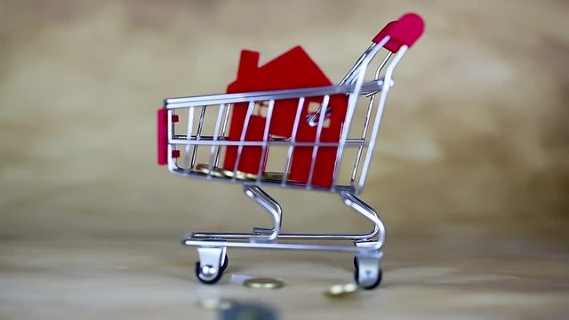 Shopping