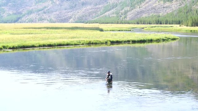Fly-fisherman fishing in Madison river, Yellowstone Park