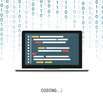 programmer coding binary computer isometric flat vector