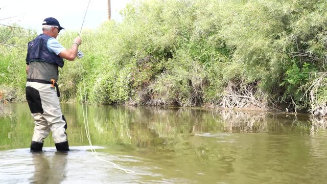 Fly fisherman catching brown trout in river