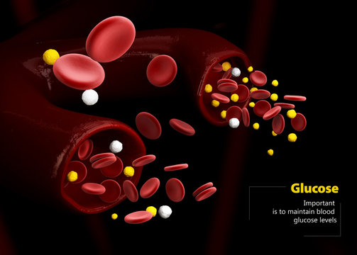 3d Illustration of blood glucose level. Normal level, Hyperglycemia and Hypoglycemia. blood vessels with crystals of sugar