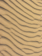 Fototapeta na wymiar yellow sand moved by the wind