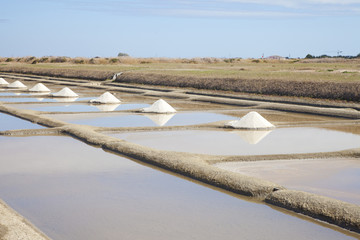 Traditional salt fields on island of Noirmoutier, France