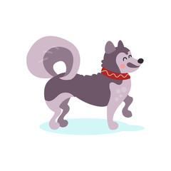 Siberian husky dog character colorful vector Illustration