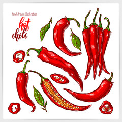Colorful set of hot and tasty chili pepper, whole and sliced, with leaves. Hand drawn illustration with hand lettering headline.