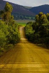 The country road - a road less travelled