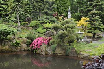 Japanese garden in summer