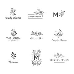 Fototapeta na wymiar Hand drawn logo collection. Logo design with doodle flowers.