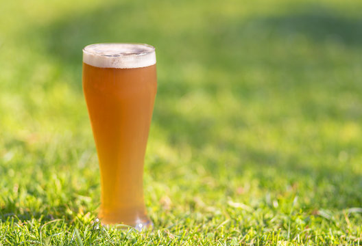 Gef&uuml;lltes Bierglas auf einer Wiese