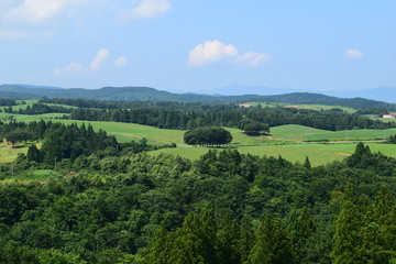 Obraz premium 月山高原牧場 ／ 山形県鶴岡市羽黒町にある月山高原牧場は、約100haの緑のジュウタンが広がり、雄大な高原の中で牛や羊を眺められます。高原からの眺めは最高で、ひそかな観光ポイントになっています。