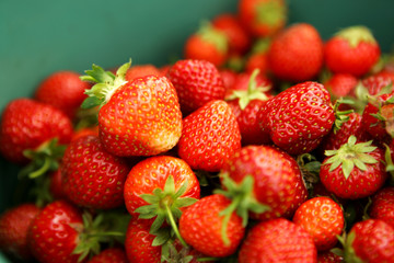 Strawberries