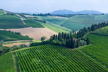 Fototapeta premium farmhouse in Italy