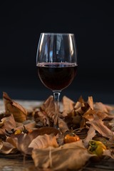 Wineglass glass amidst dry leaves