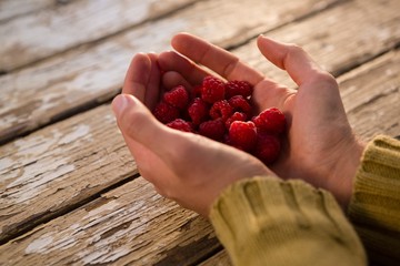 Cropped hand of woman holding raspberries