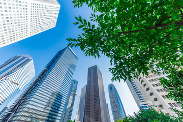 新宿の高層ビル群 © tayukaishi