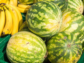 Wassermelonen auf den Markt