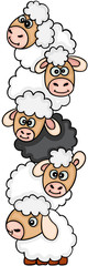 Cute sheep stack
