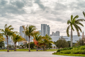 view on downtown Miami in a cloudy and windy day.